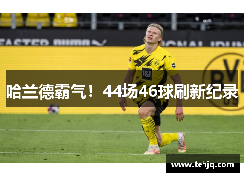 哈兰德霸气！44场46球刷新纪录
